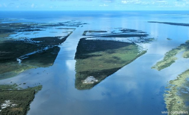 Cordula's Web. NOAA. Atchafalaya Bay, St. Mary Parish, Louisiana.