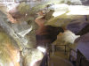 Cordula's Web. Flickr. Entrance to Cave, near Colorado Springs.