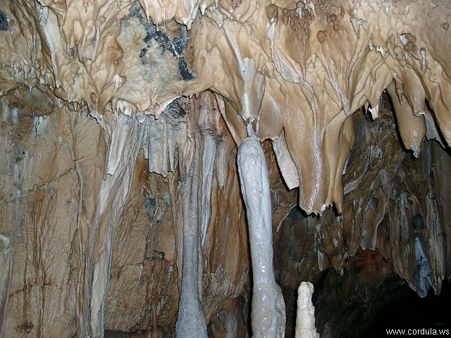 Cordula's Web. Dechenhoehle Cavern near Iserlohn, Germany.