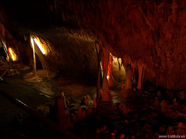 Cordula's Web. Dechenhoehle Cavern near Iserlohn, Germany.