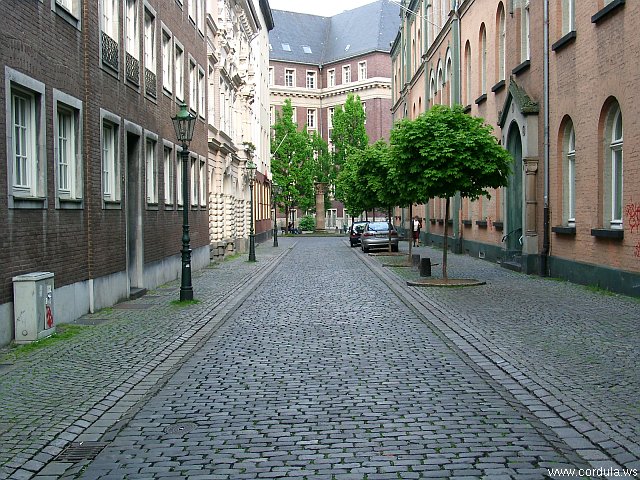 Cordula's Web. Duesseldorf Altstadt.