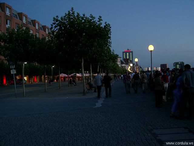 Cordula's Web. Duesseldorf Evening.