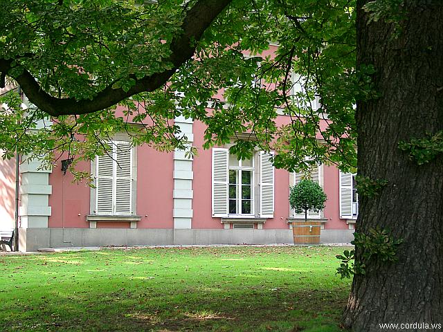 Cordula's Web. Pink House in Duesseldorf.