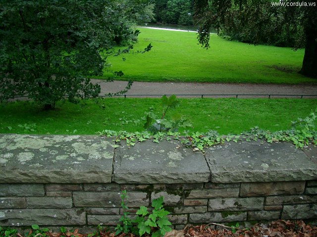 Cordula's Web. Park in Duesseldorf