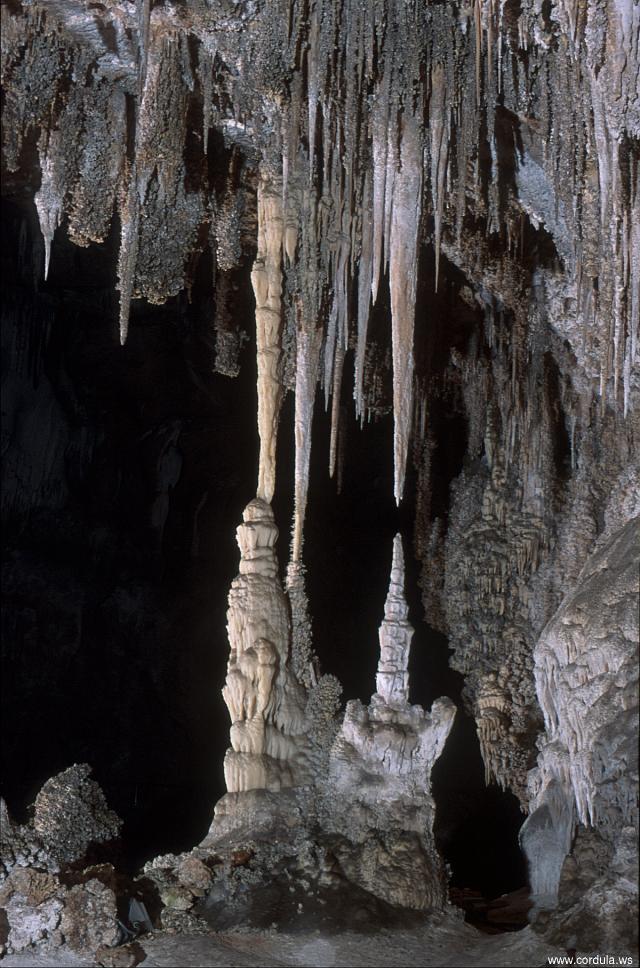 Cordula's Web. Carlsbad Caverns National Park: Chinese Theater.