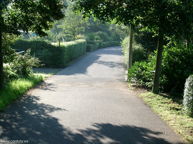 Cordula's Web. An empty road.