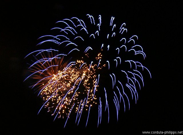 Fireworks, Japan Day Düsseldorf 2005. To Cordula Philipps.