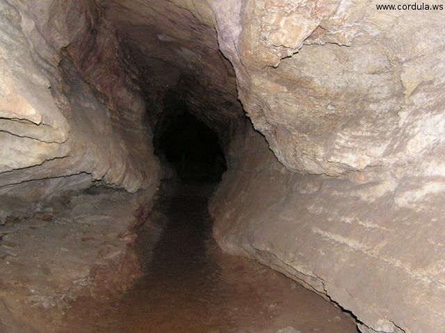 Cordula's Web. Flickr. Boring Cave, near Colorado Springs.