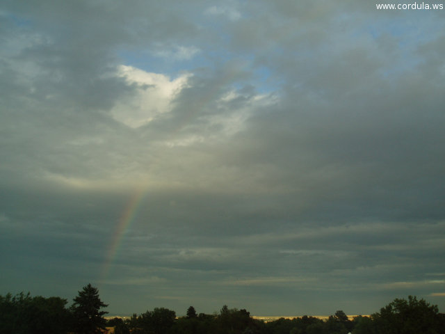 Cordula's Web. Flickr. Rainbow, seen from Broadmoor.