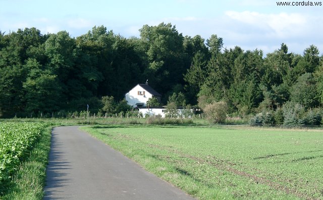 Cordula's Web. Farm near Kaarst Lake.