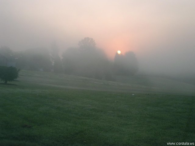 Cordula's Web. grey_mare. Foggy Sunrise.