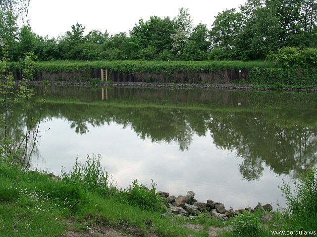 Cordula's Web. The Channel of Tears. Traenenkanal.