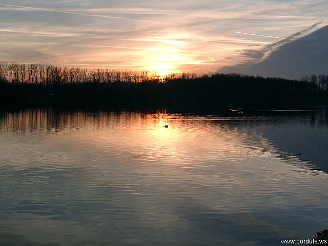 Cordula's Web. Kaarst Lake at Dawn.