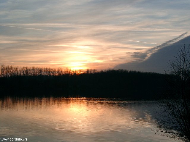 Cordula's Web. Kaarst Lake at Dawn.