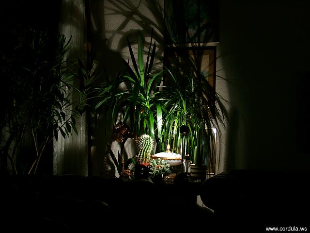 Cordula's Web. Living room at night with a ghostly atmosphere.