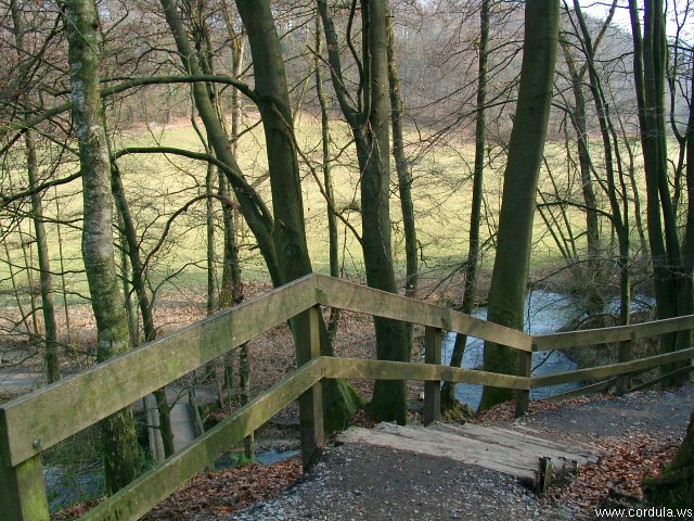 Cordula's Web. Wikicommons. Neanderthal Valley.