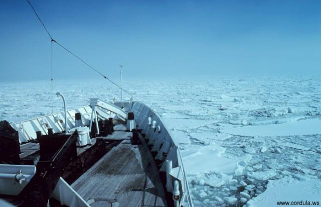 Cordula's Web. NOAA. Ice-Breaker Surveyor, Bering Sea, Alaska.