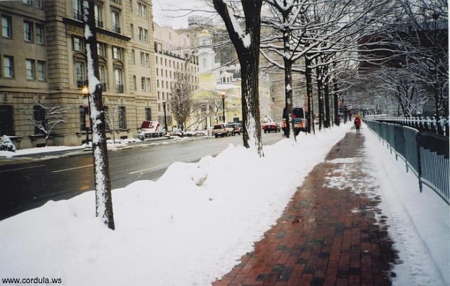 Cordula's Web. NOAA. Snowy Street.