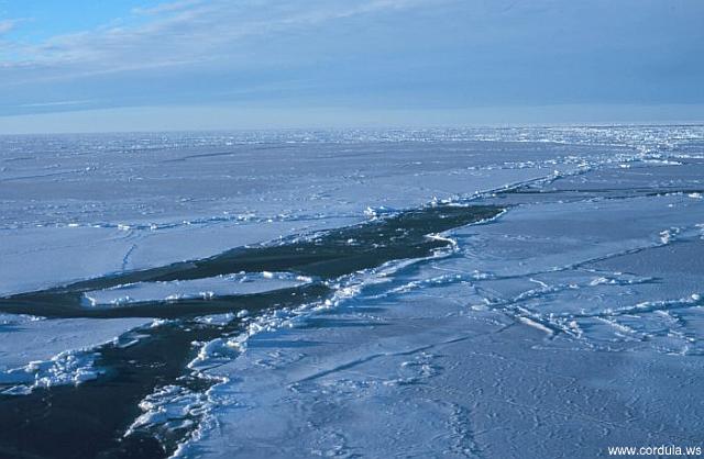 Cordula's Web. NOAA. Open water wake in the sea ice.