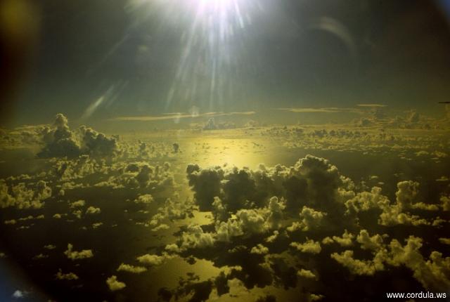 Cordula's Web. NOAA. Cumulus. Project Cloudline.