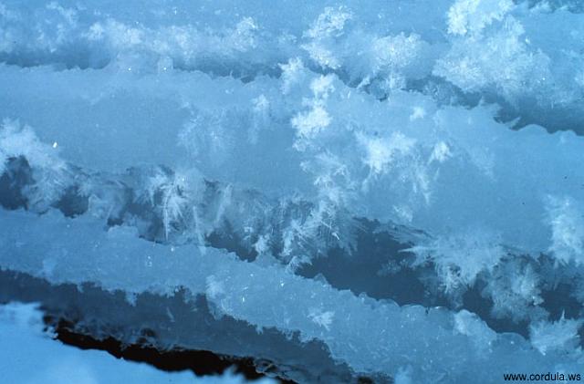 Cordula's Web. NOAA. Ice crystals forming. Antarctica.