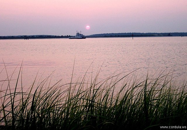 Cordula's Web. NOAA. Cape Fear River, North Carolina.