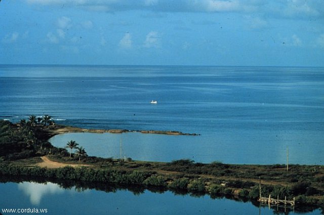 Cordula's Web. NOAA. Offshore St. Croix near the site of the West Indies Lab and Aquarius habitat.