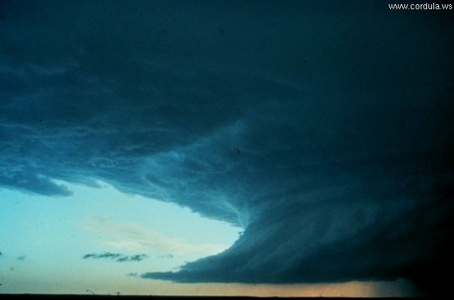 Cordula's Web. NOAA. Cumulonimbus squall line associated with cold front.