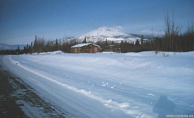 Cordula's Web. NOAA. Whitehorse, Yukon Territory, Canada.