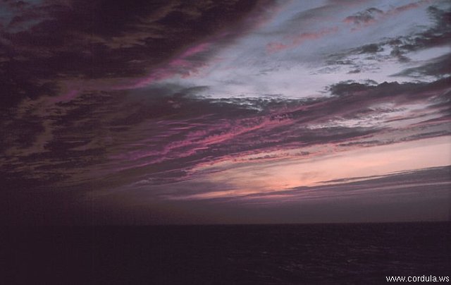 Cordula's Web. NOAA. Dawn breaking on the Antarctica Expedition.