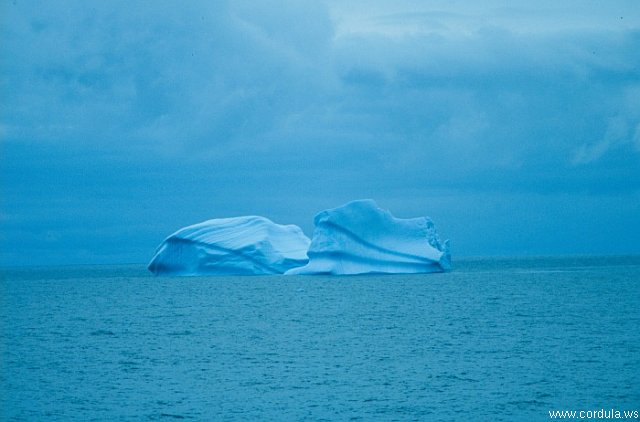 Cordula's Web. NOAA. Lonely Blue Icebergs.