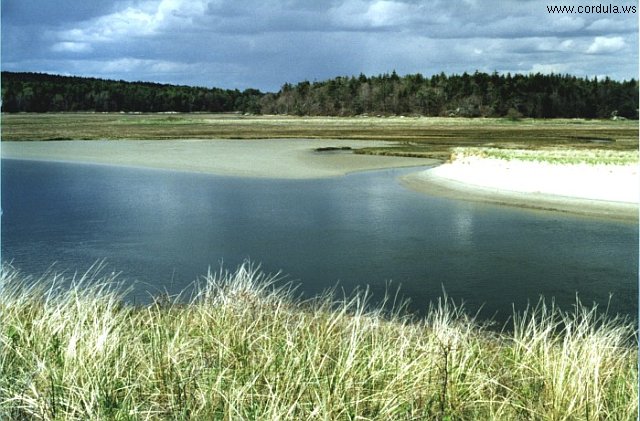 Cordula's Web. NOAA. Morse River Inlet.