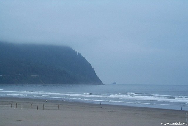 Cordula's Web. NOAA. Mist on Tillamook Head, Seaside, Oregon.