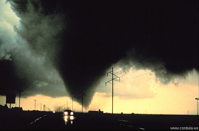 Cordula's Web. NOAA. The Dimmitt Tornado.