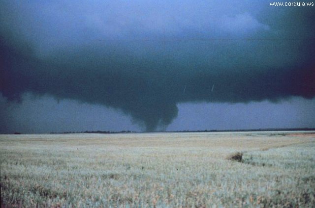 Cordula's Web. NOAA. The Mayfield Tornado.