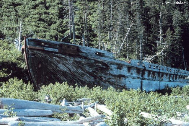 Cordula's Web. NOAA. An old wooden ship cast ashore.