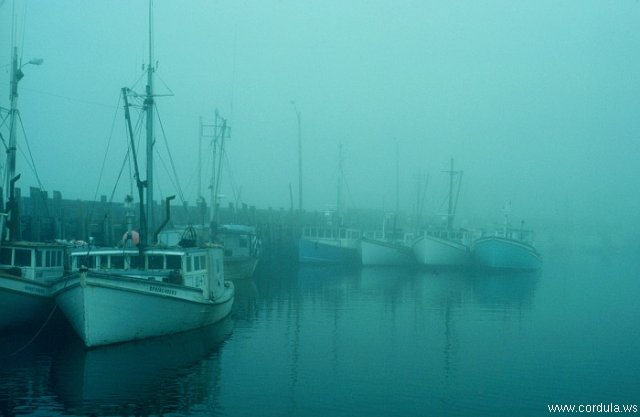 Cordula's Web. NOAA. Foggy day in a New Brunswick fishing village.