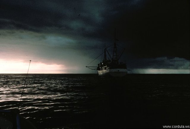 Cordula's Web. NOAA. Storm on the Pacific.