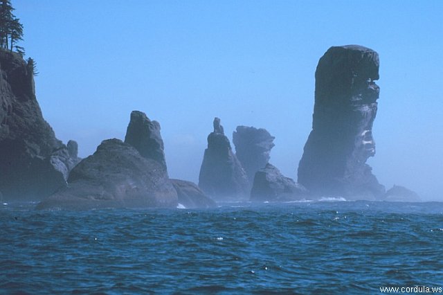 Cordula's Web. NOAA. Fuca Pillar at Cape Flattery, Olympic Peninsula.