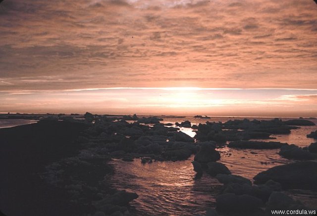 Cordula's Web. NOAA. Ice along the shore at sunset.