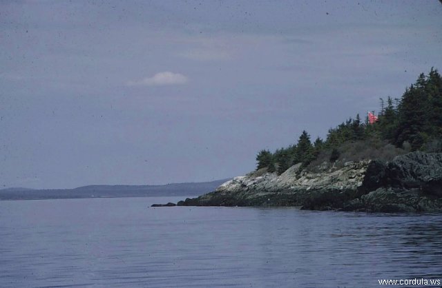 Cordula's Web. NOAA. Penobscot Bay, Maine.