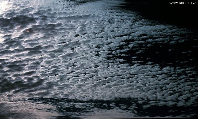 Cordula's Web. NOAA. Altocumulus by Night.