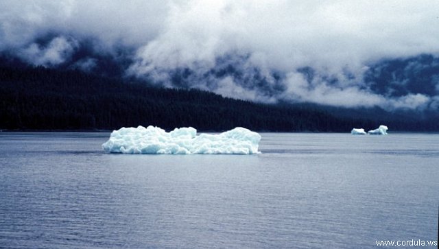 Cordula's Web. NOAA. Tracy Arm, Alaska Southeast.