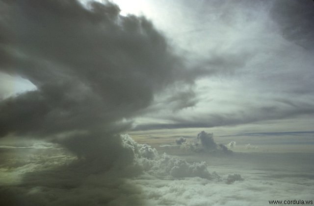 Cordula's Web. NOAA. Cloudline.