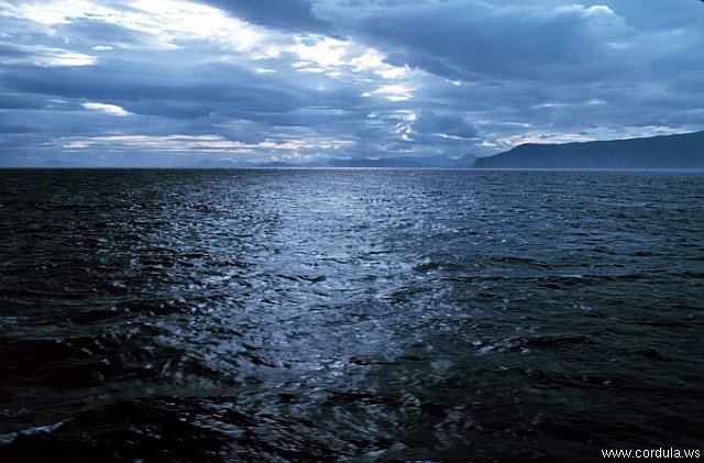 Cordula's Web. NOAA. Puale Bay, Alaska Peninsula.