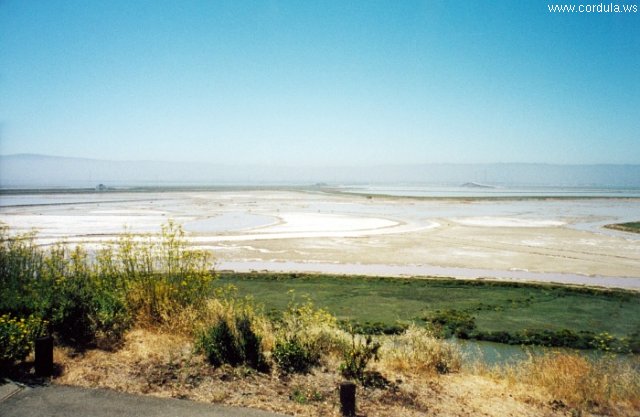 Cordula's Web. NOAA. Salt flats at the south end of San Francisco Bay as seen from the Redwood City area.
