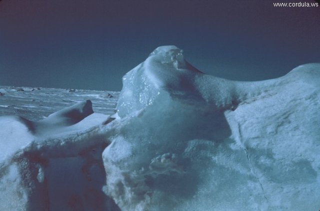 Cordula's Web. NOAA. Iceberg, Alaska North Slope.