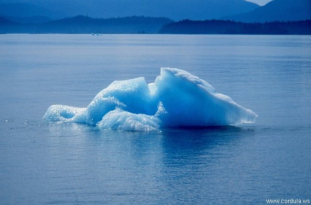 Cordula's Web. NOAA. Small ice berg. Tracy Arm area, Stephens Passage. Southeast Alaska.