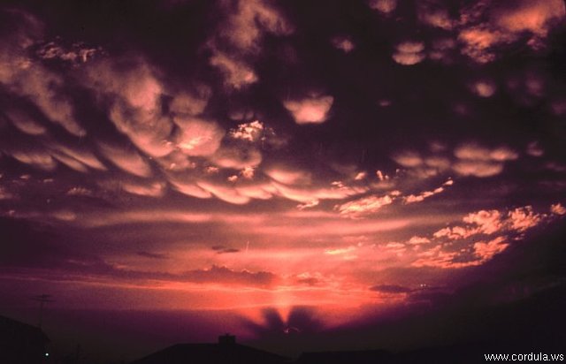 Cordula's Web. NOAA. Mammatus Clouds, Hobart, Oklahoma.