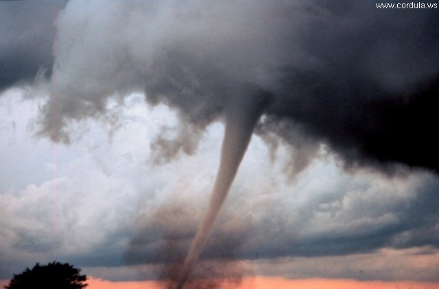 Cordula's Web. NOAA. Occluded mesocyclone tornado. Anadarko, Oklahoma.